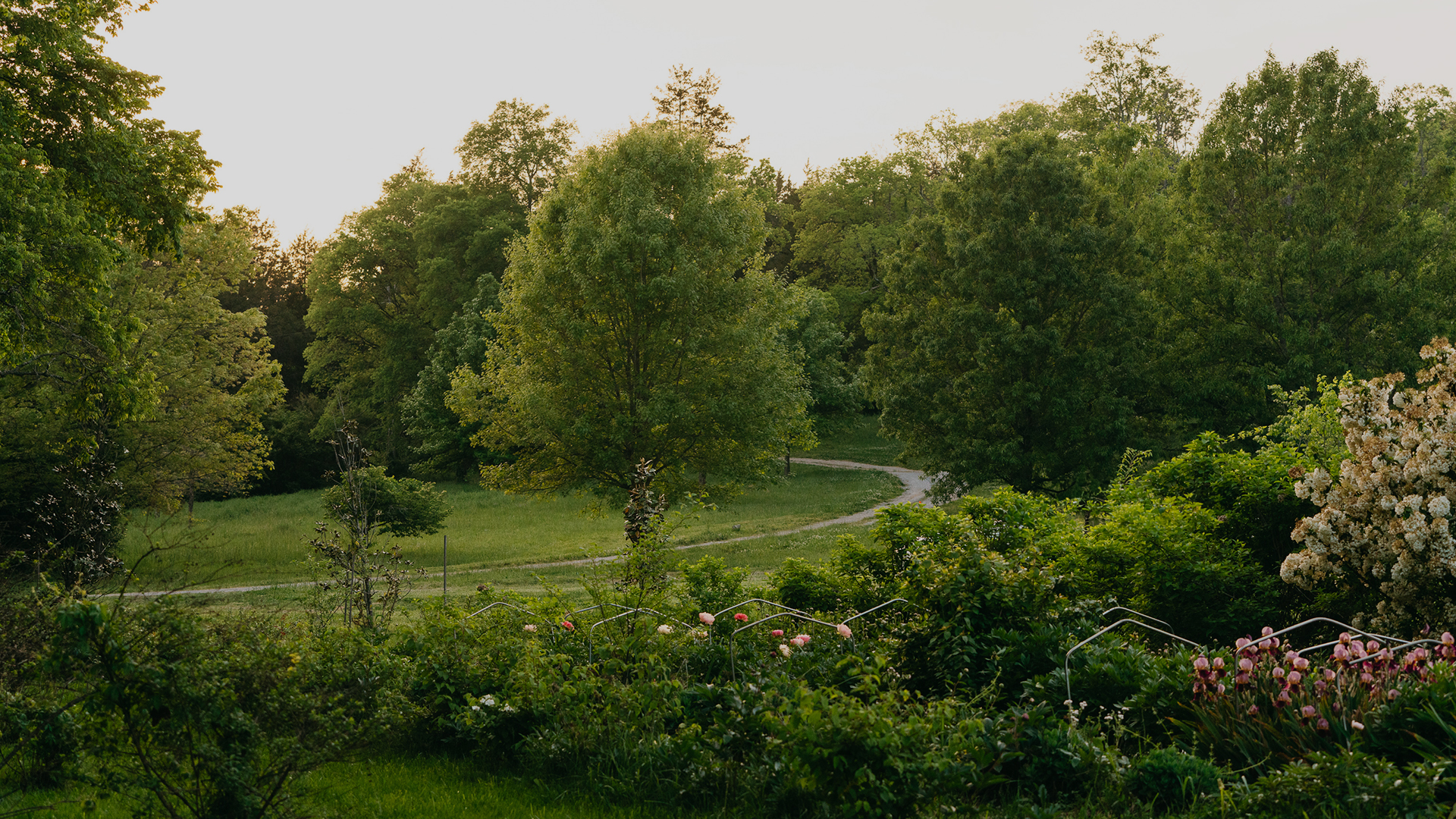 A lush green garden with manicured walking path and tall trees 