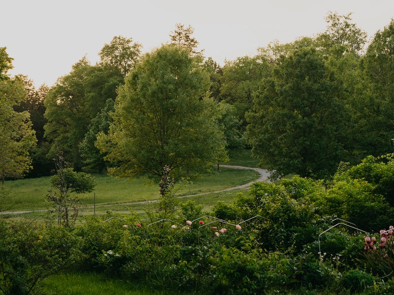 A lush green garden with manicured walking path and tall trees