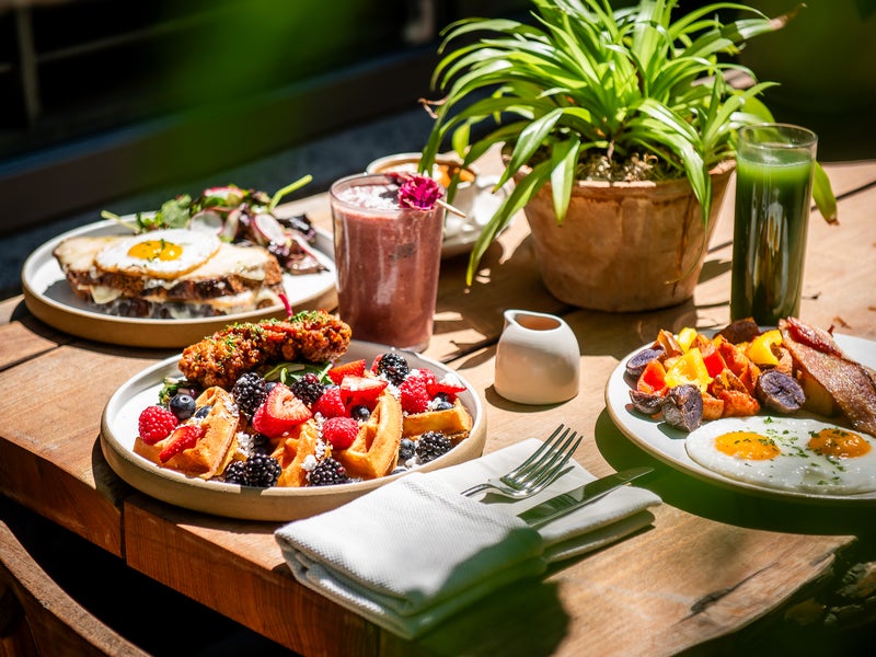 Brunch