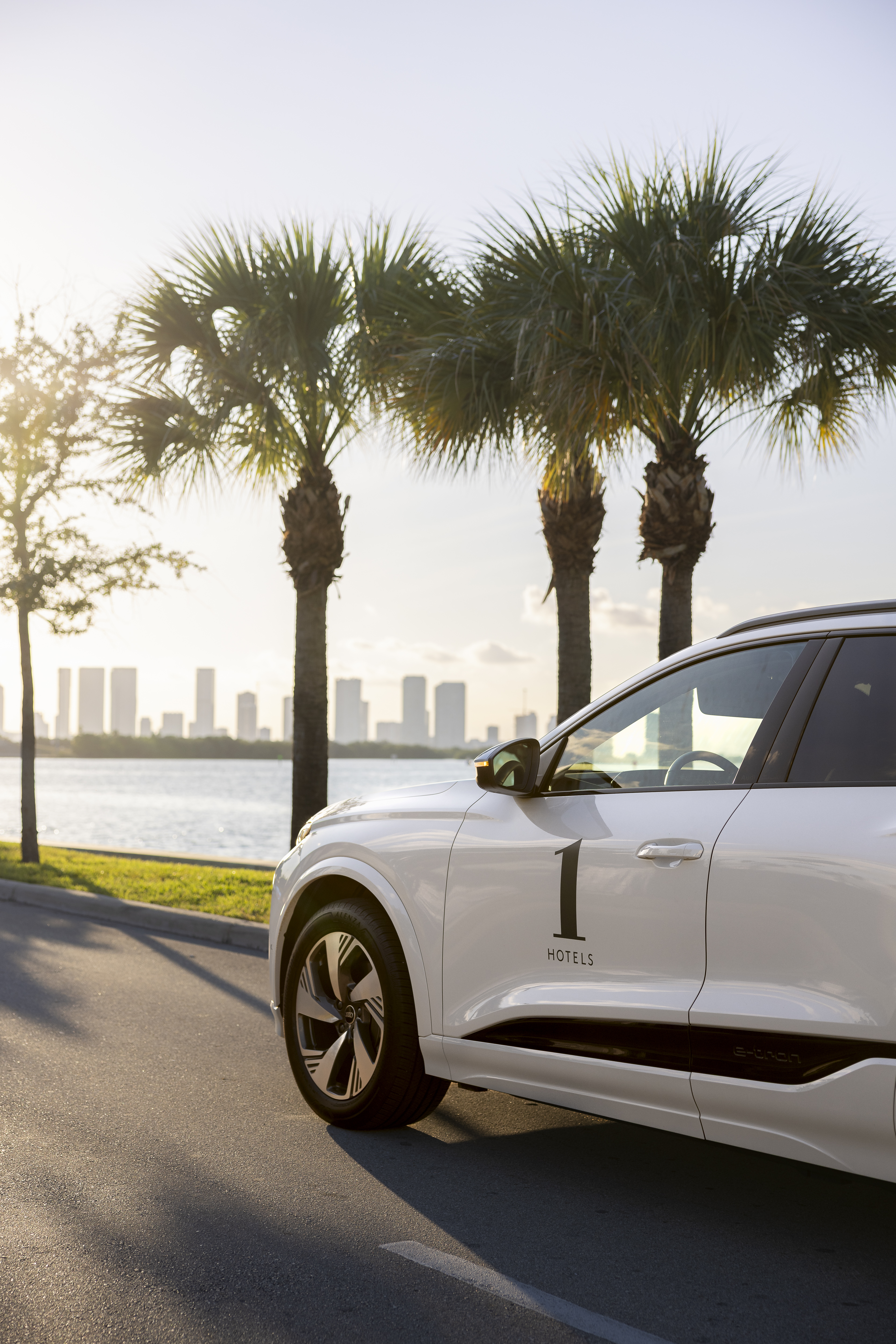 audi driving into the horizon with palm trees