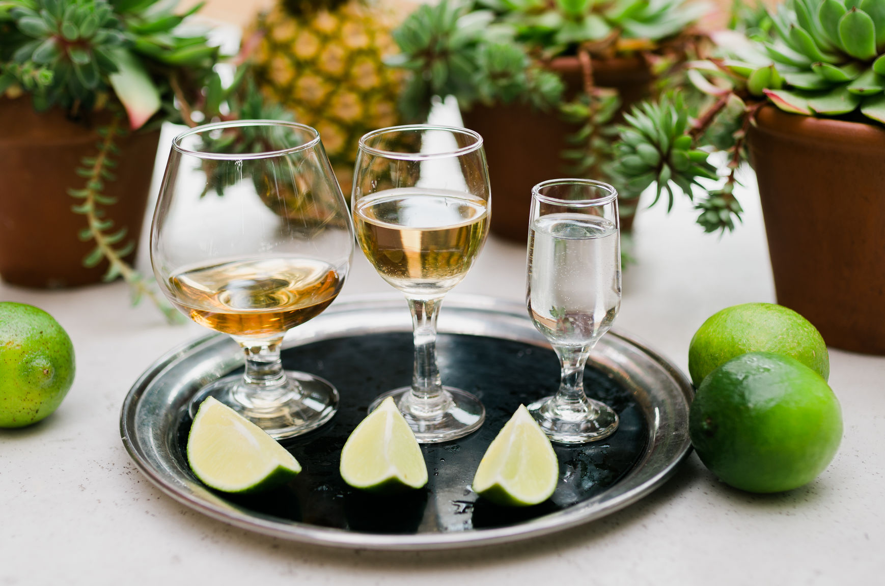 tequila and mezcal tasting