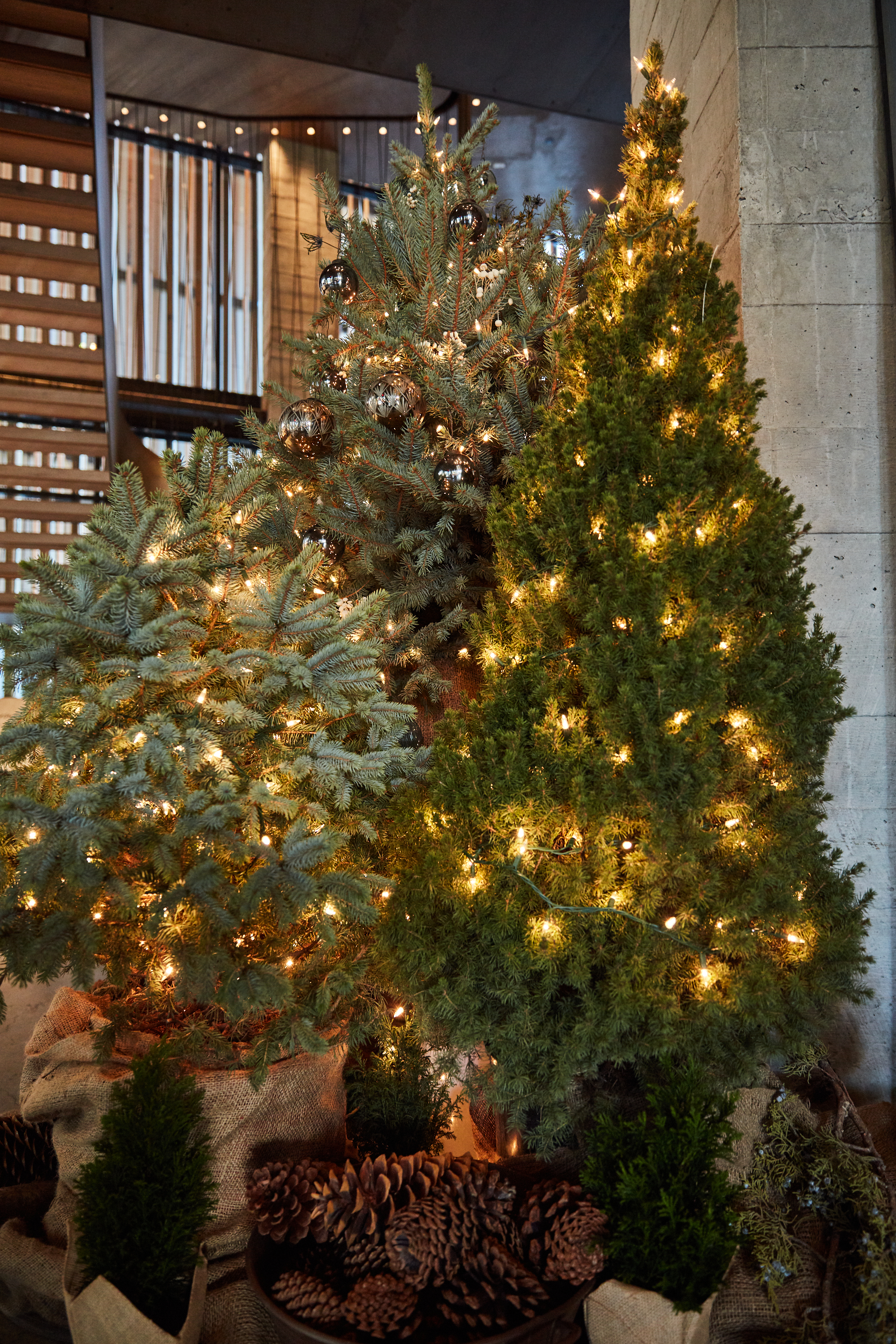 christmas tree at 1 hotel Brooklyn bridge
