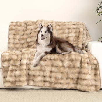 Brentwoof Oversized Waterproof Pet Blanket and Furniture Protector