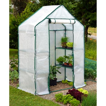 VegTrug Large Portable Greenhouse