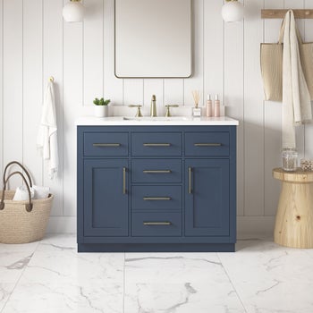 OVE Decors Alonso 42 in. Vanity | Costco