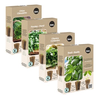 Herb Garden Seed Plug Pack - 4 kits