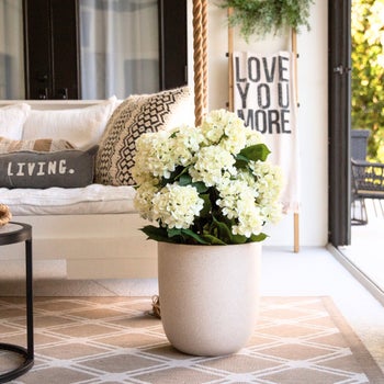 Faux 35” Hydrangea Floor Plant | Costco