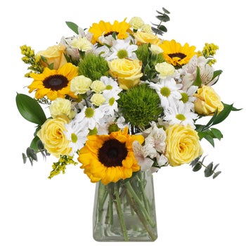 Get Well Sunshine Bouquet with Vase