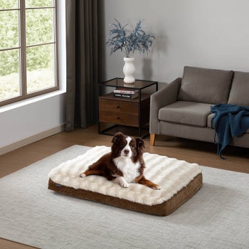 Tempur-Pedic Combination Pet Mattress, 30