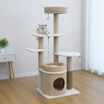 Catry Pasadena 54 inch Cat Tree, With 5 Levels and Condo, Beige