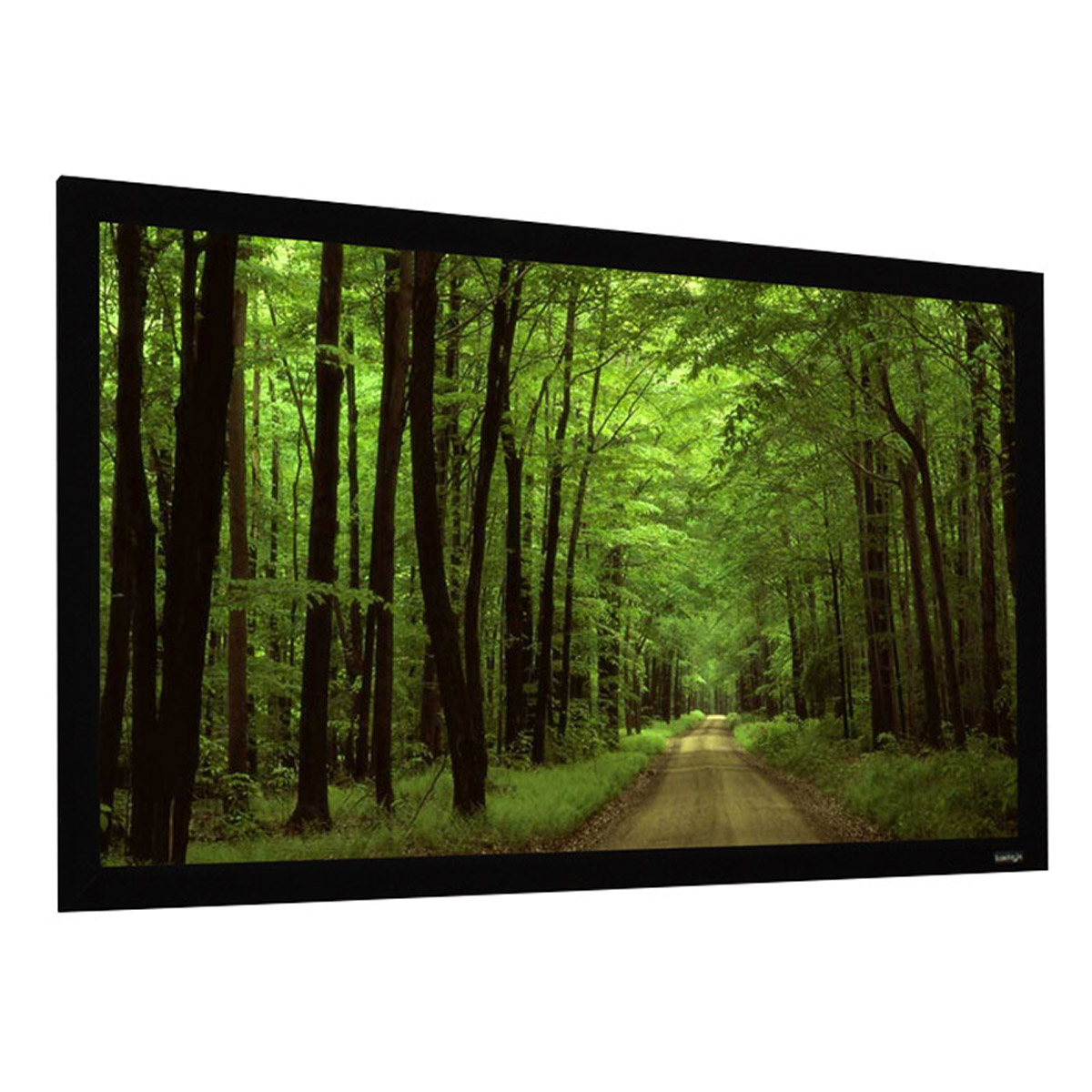 Elunevision Elara Fixed Frame Projection Screen Costco