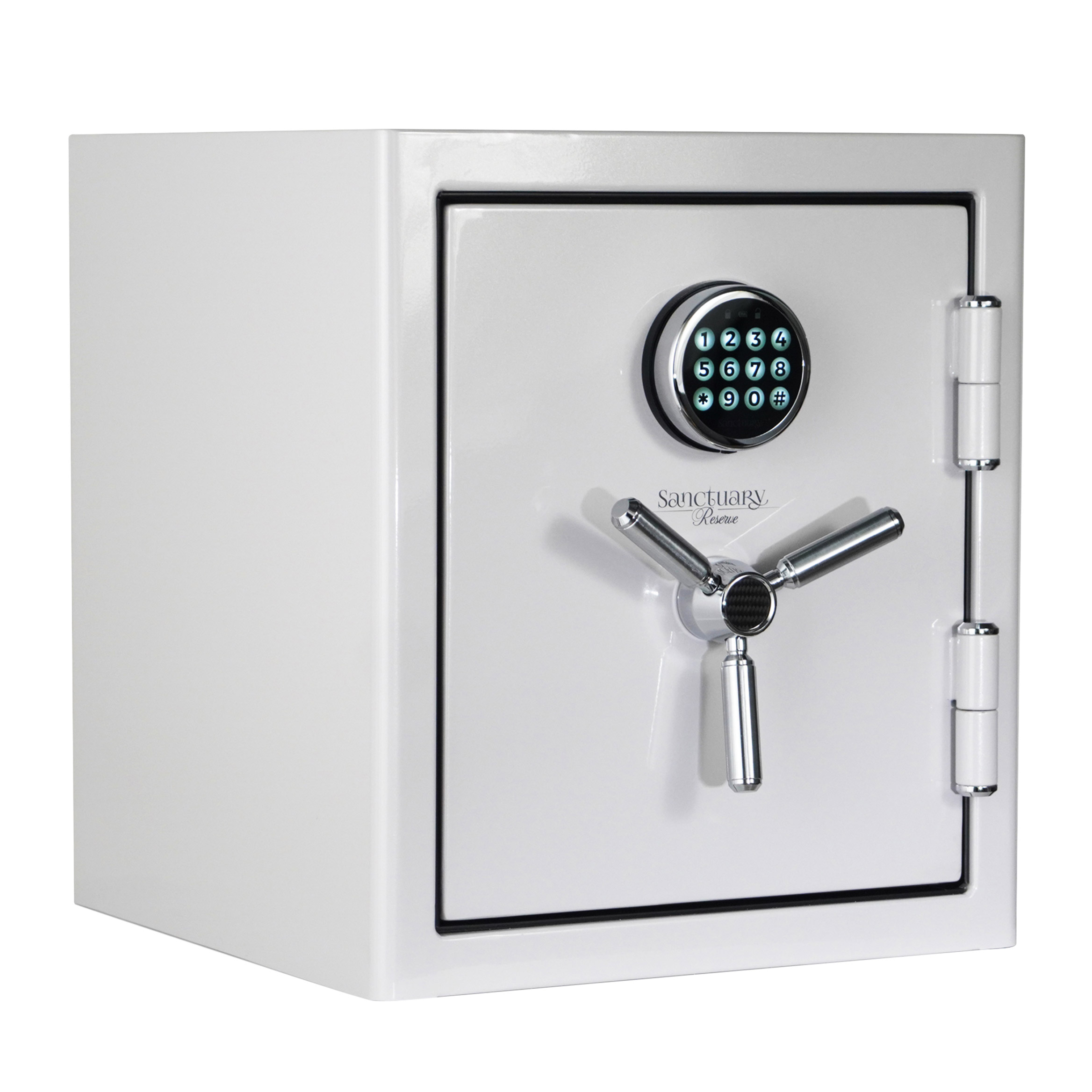 Sanctuary Reserve 1.69 cu. ft. Fire Waterproof Home & Office Safe with Electronic Lock