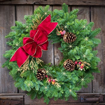 Fresh Cranberry Splash Lighted LED Wreath | Costco