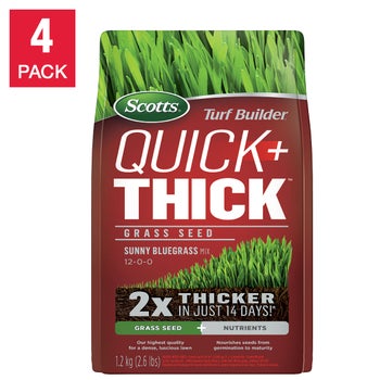 Scotts Turf Builder Quick + Thick Grass Seed Sun 1.2kg 4-pack