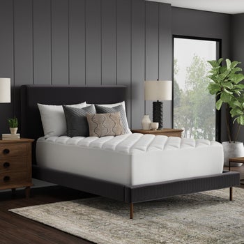 Sealy Sterling Collection Spa Luxury Mattress Pad