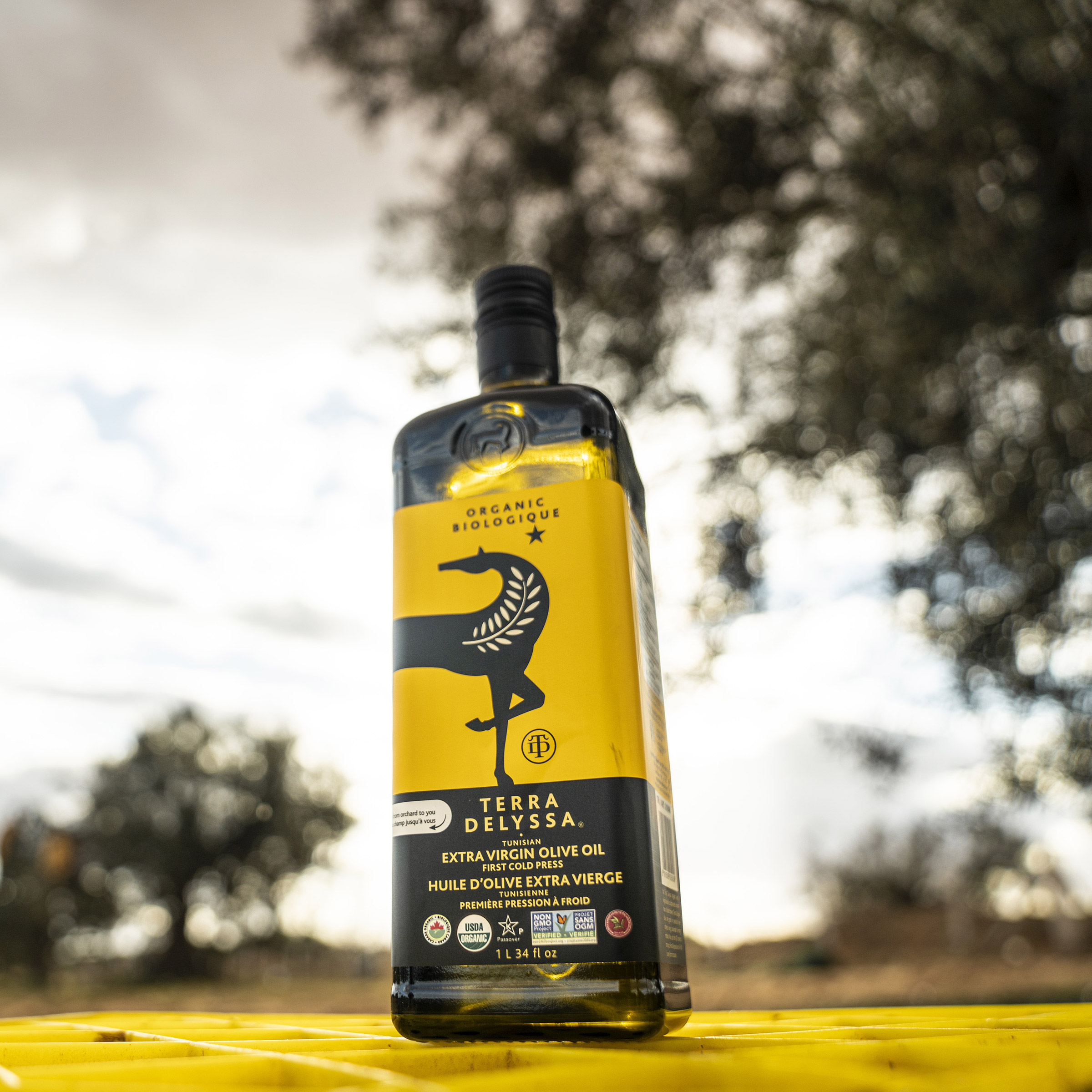 AiWaWa CA, (4 Bottles), Terra Delyssa Organic Extra Virgin Olive