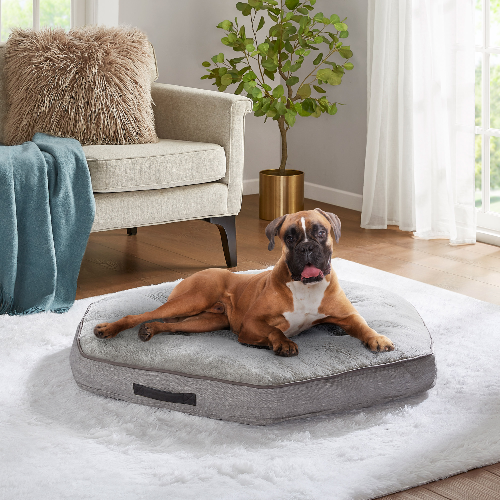 Kirkland Signature Dog Beds Costco