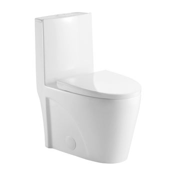 Agua Canada Tyrone 1-piece Dual Flush Toilet