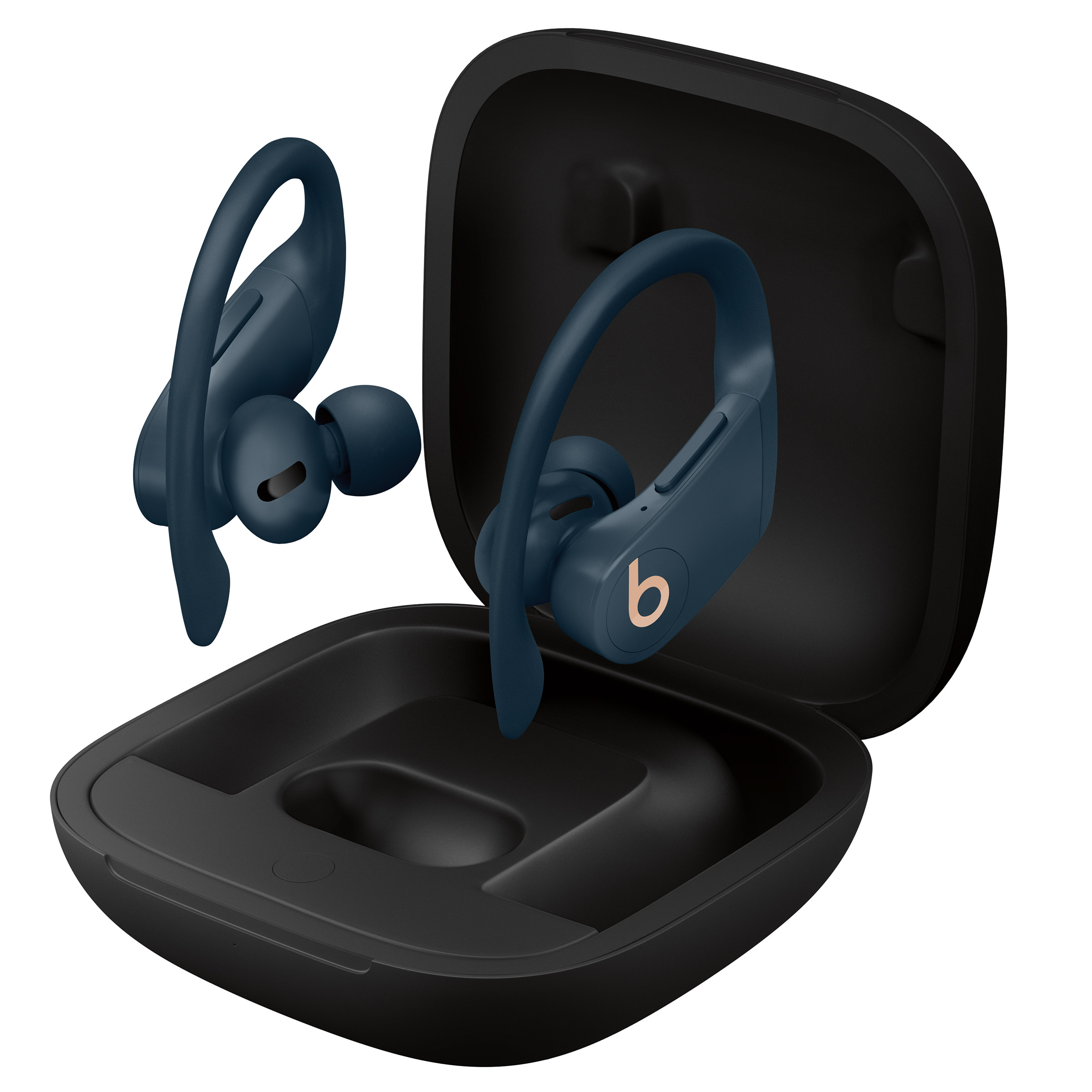 2024 Powerbeats Pro Wireless