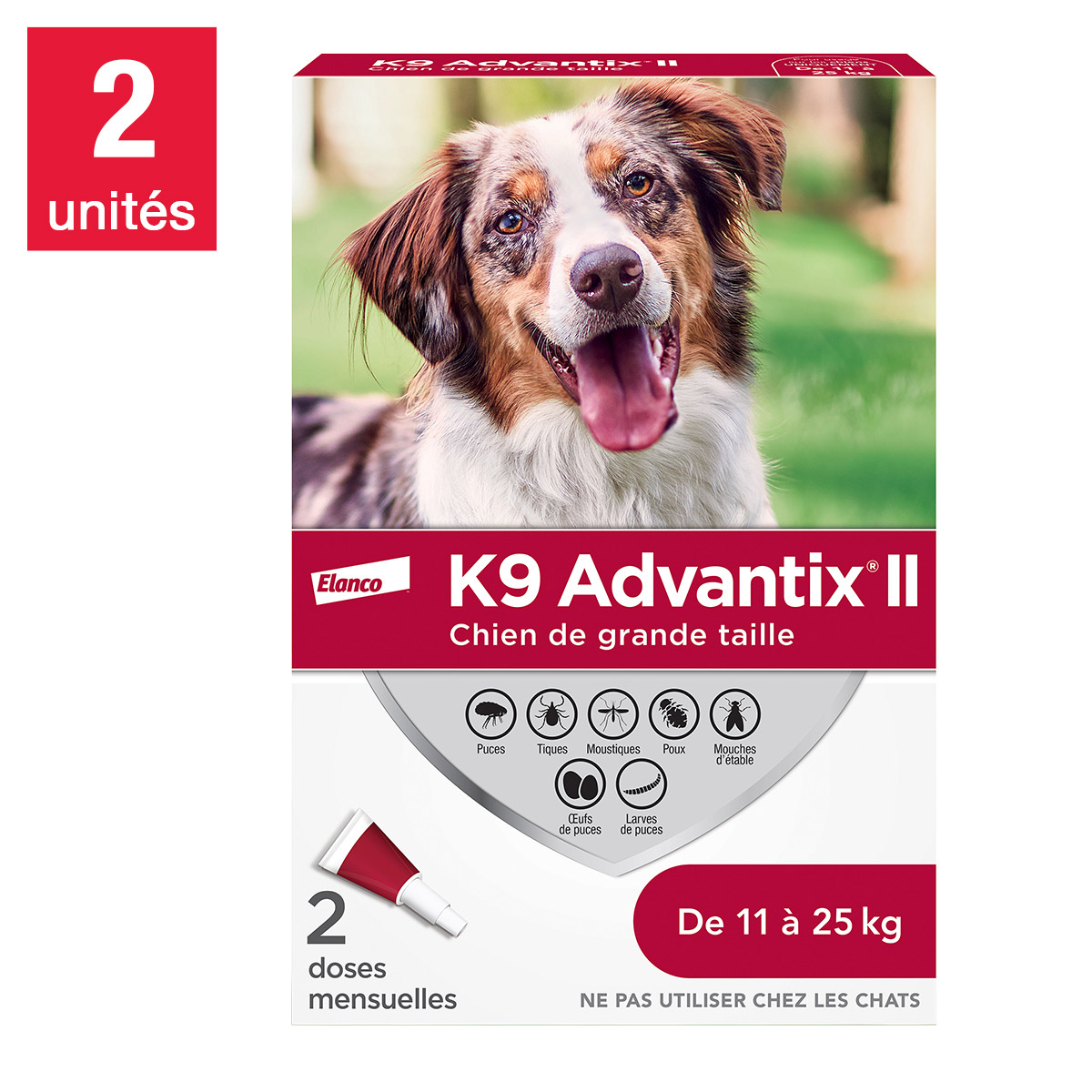 flea pills for dogs online