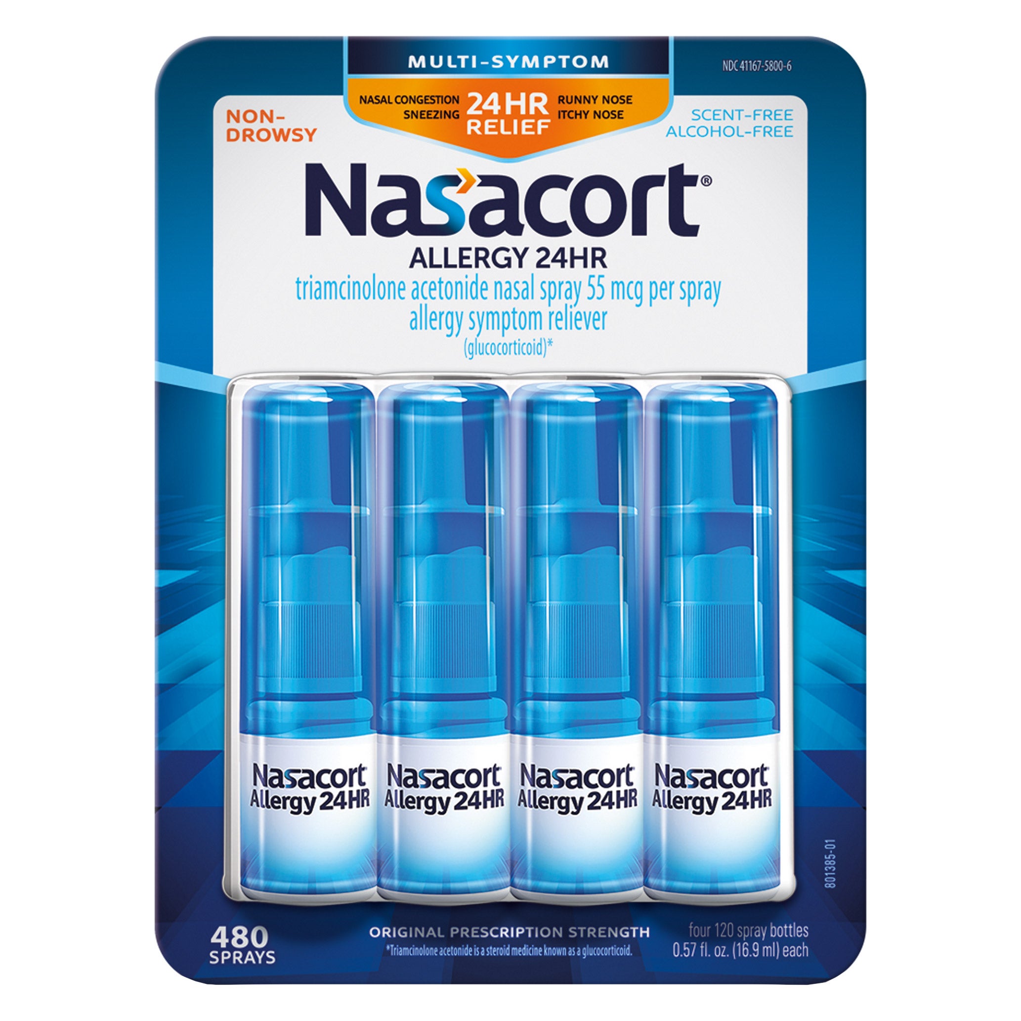 Nasacort Allergy 24 HR, 480 Metered Sprays