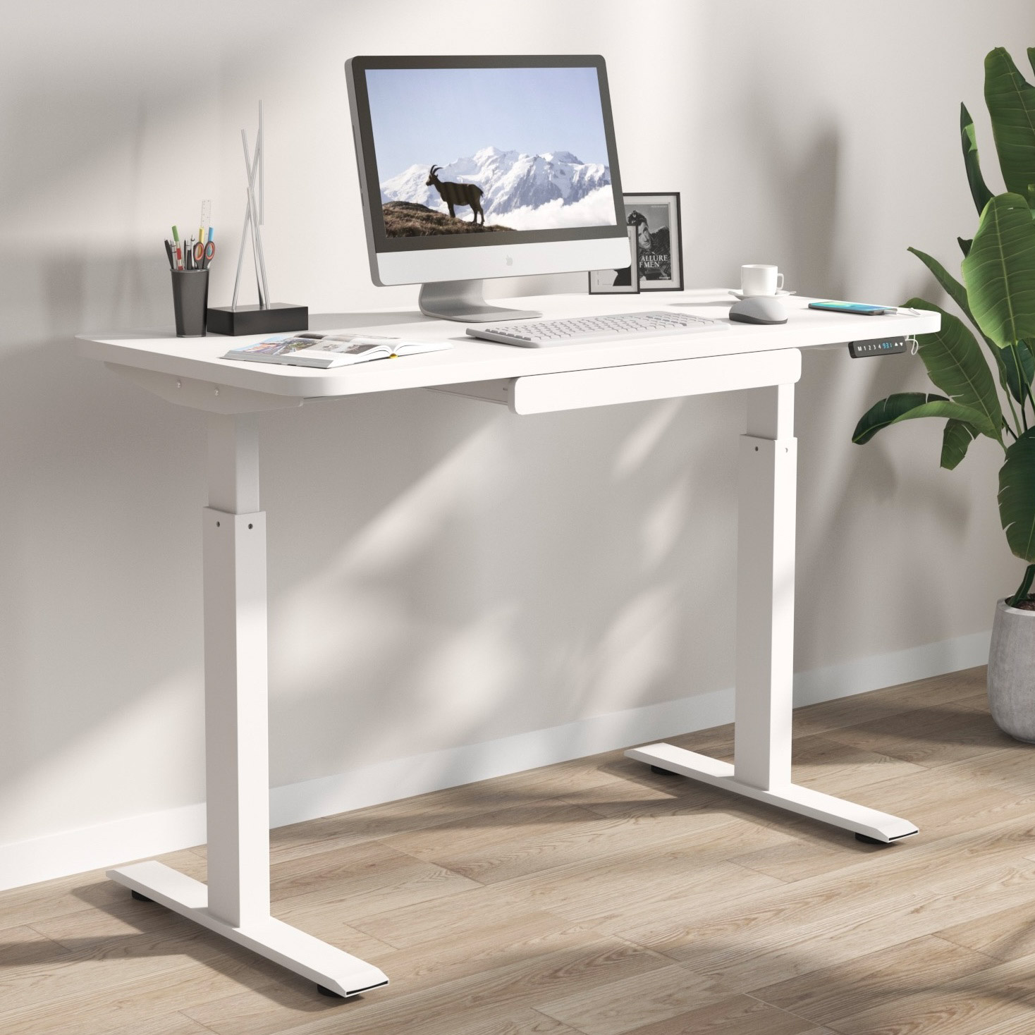 Standing adjustable desk costco discount
