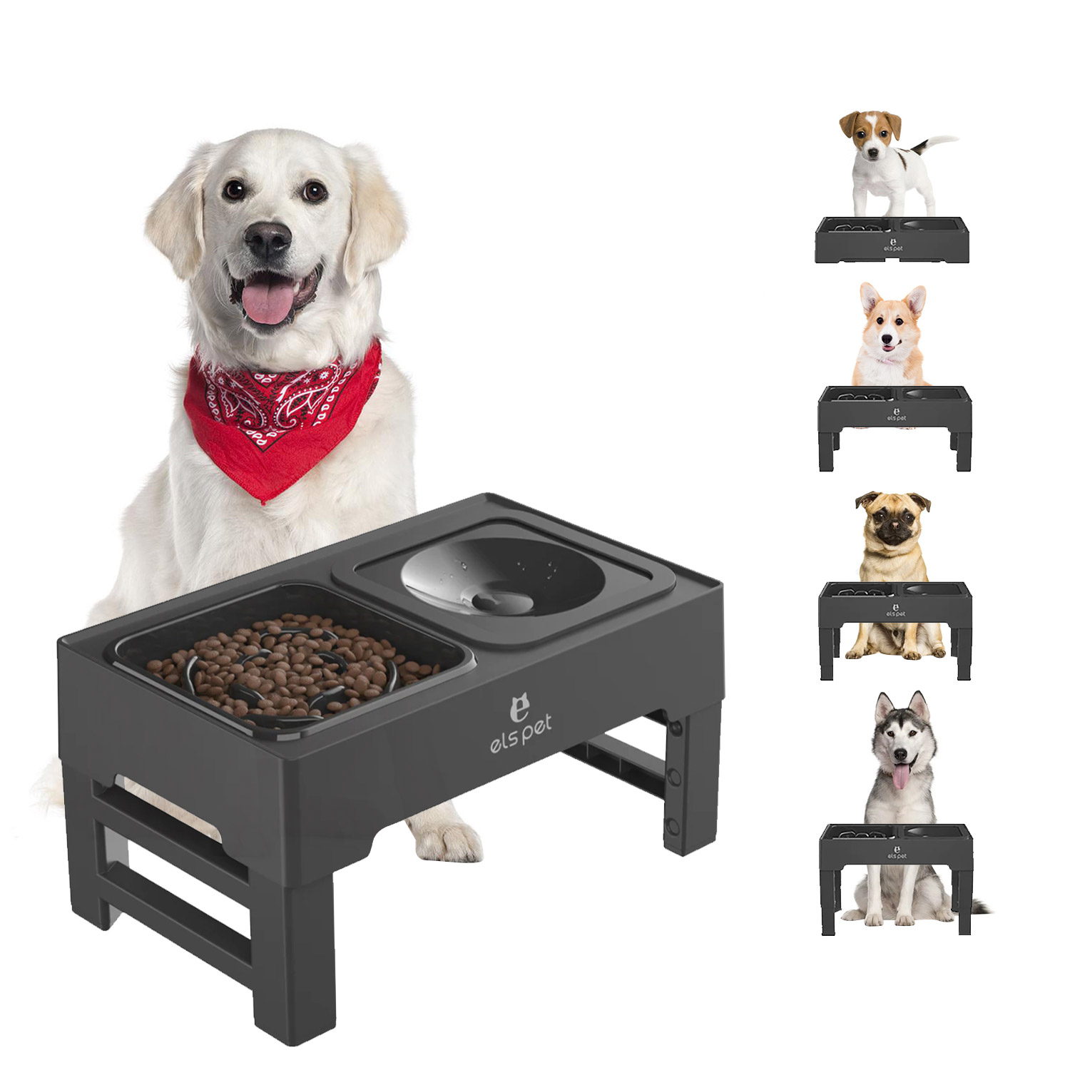 elevated food and water bowls for dogs