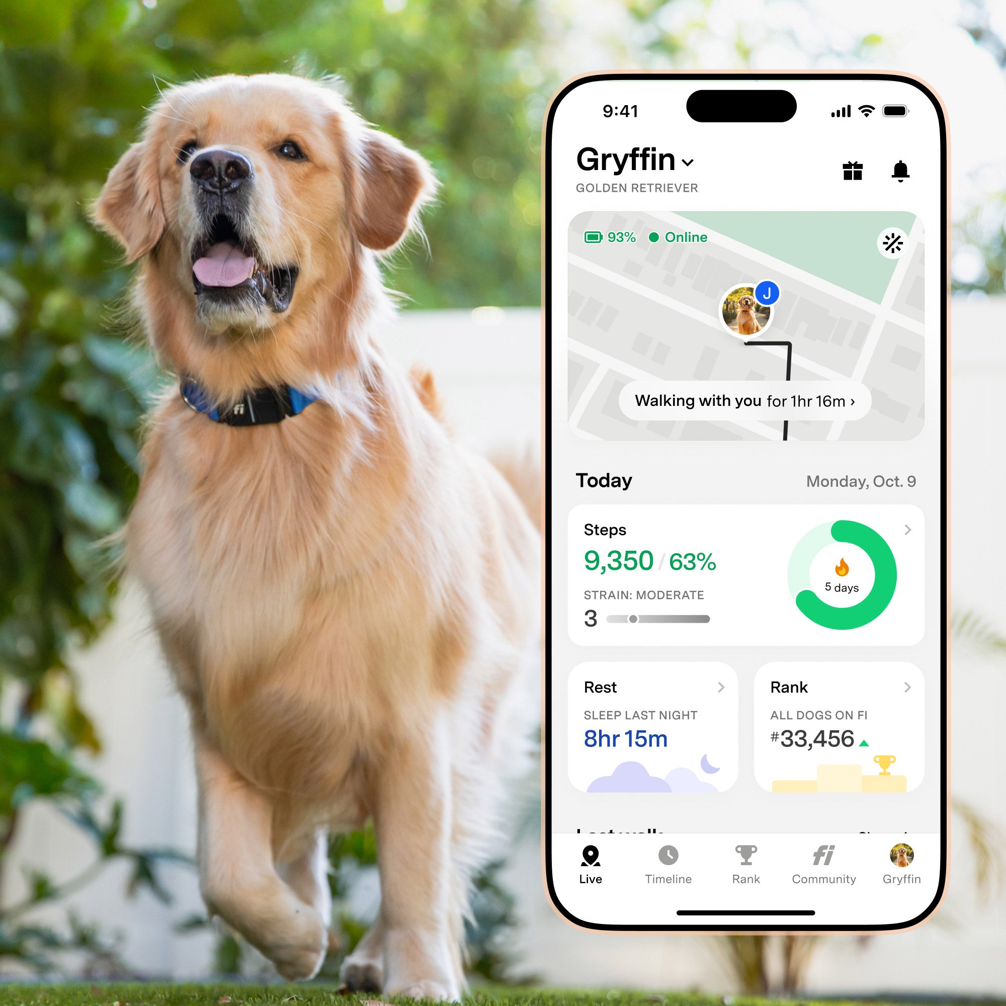 Dog Whistle Whistle App Gps Tracker Whistle App For Android