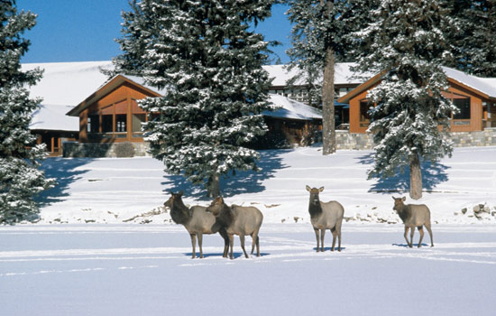 Helmut and Karin review of their [object Object] trip