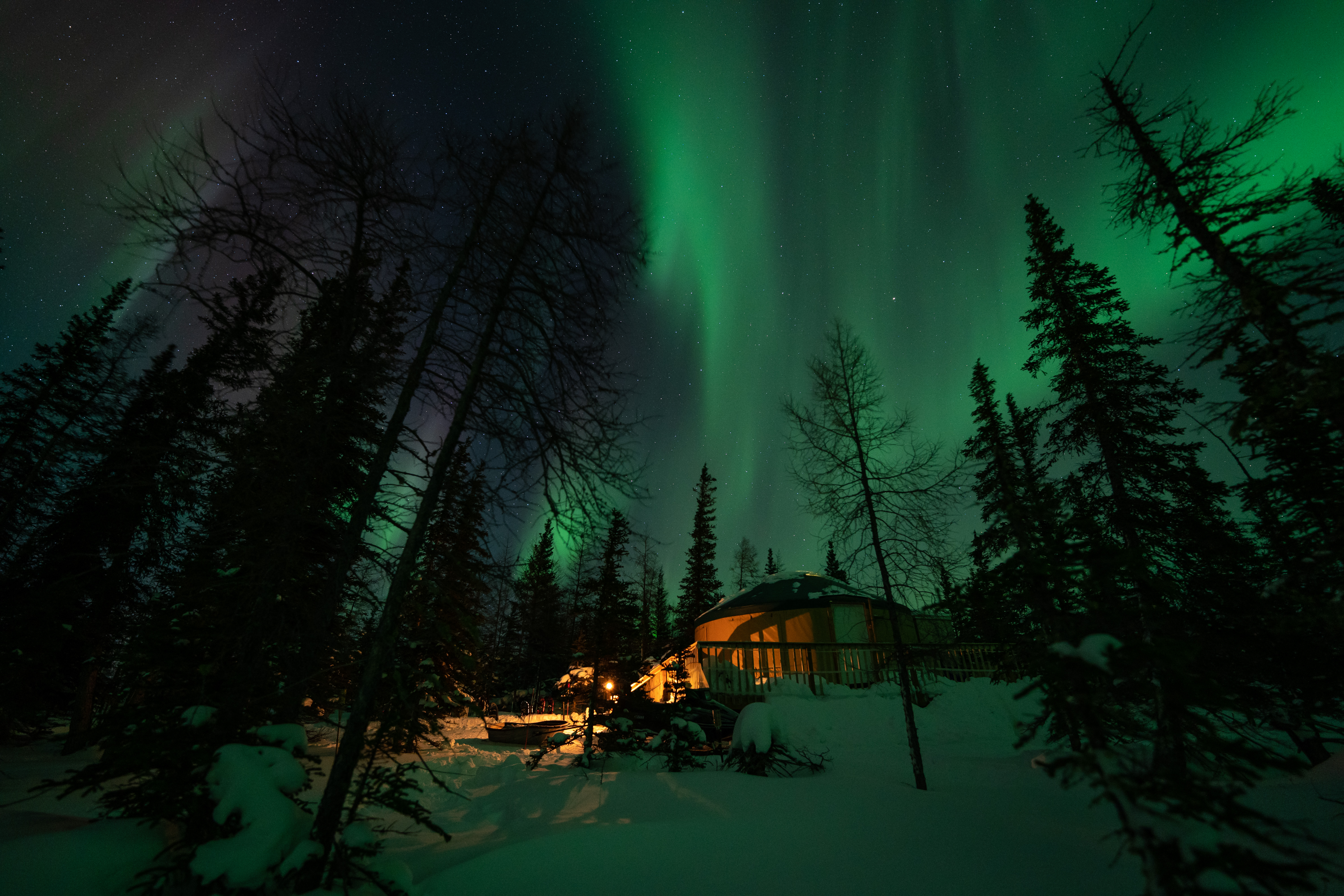 Northern Lights above a yurt in the boreal forest near Churchill