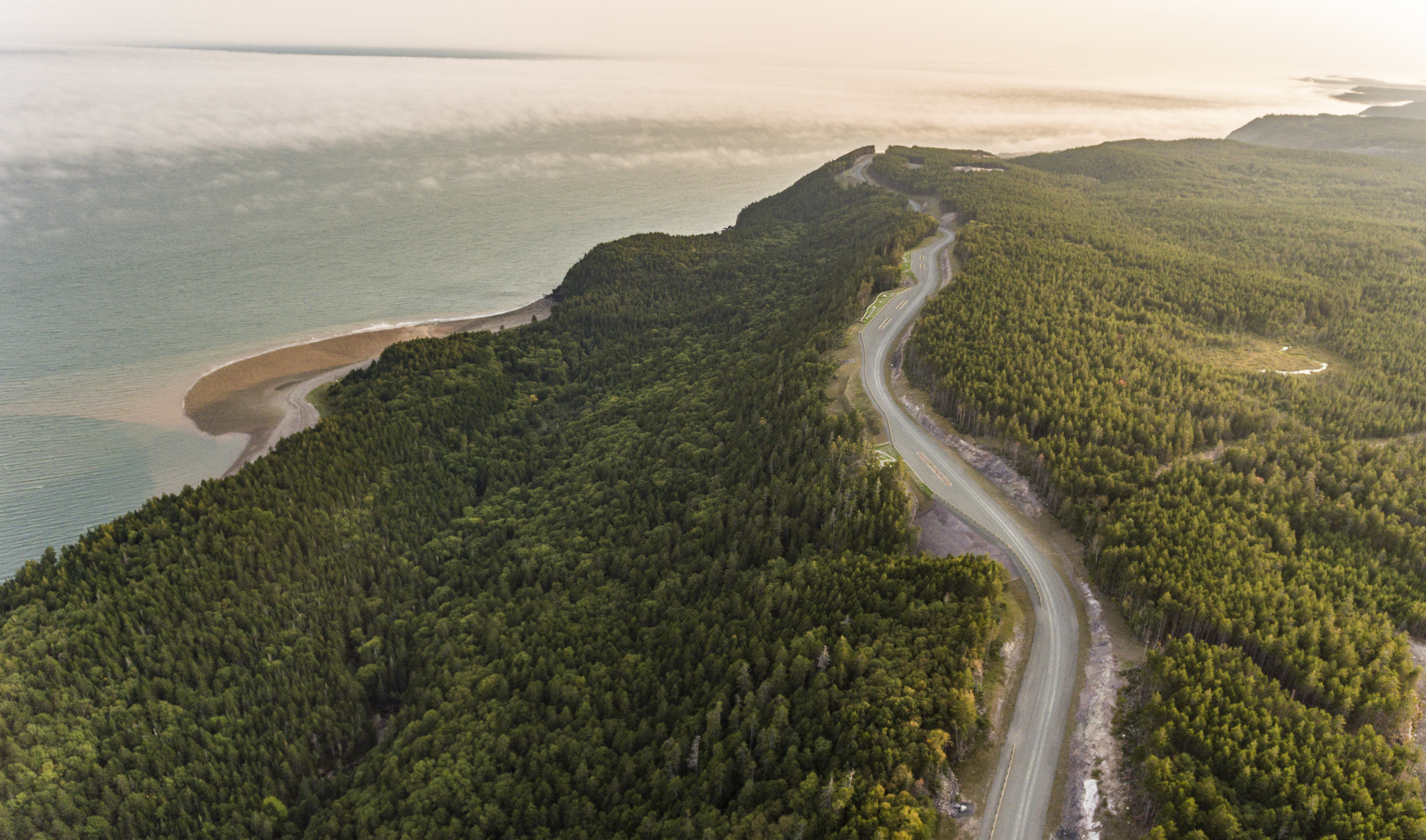 Road winding through lush park by shore of vast bay