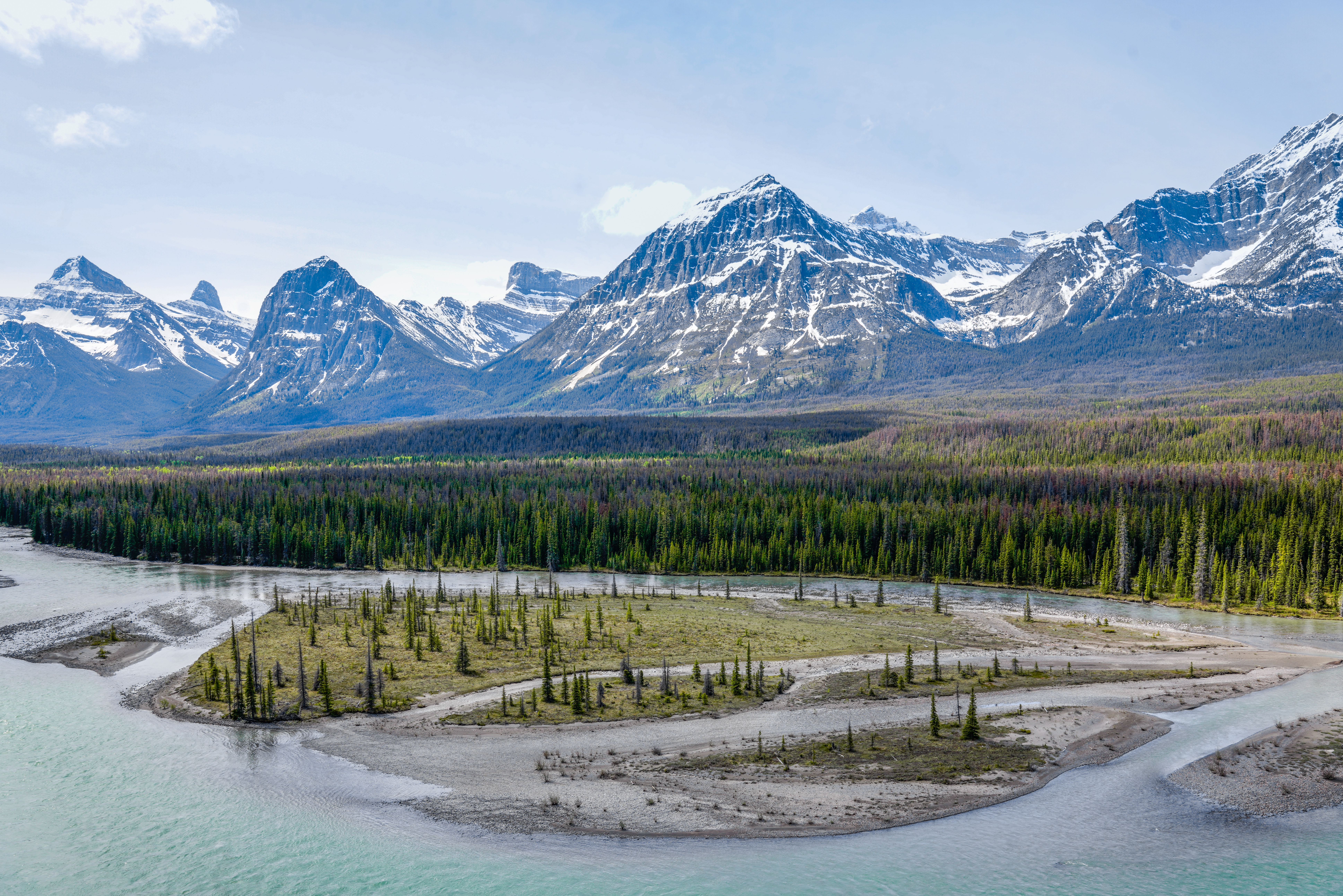 View from the Icefields Parkway of the river and forest with Rocky Mountains behind