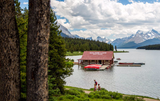 Mary and David review of their [object Object] trip