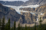 View of Crowfoot Glacier along the Icefields Parkway in Banff National Park