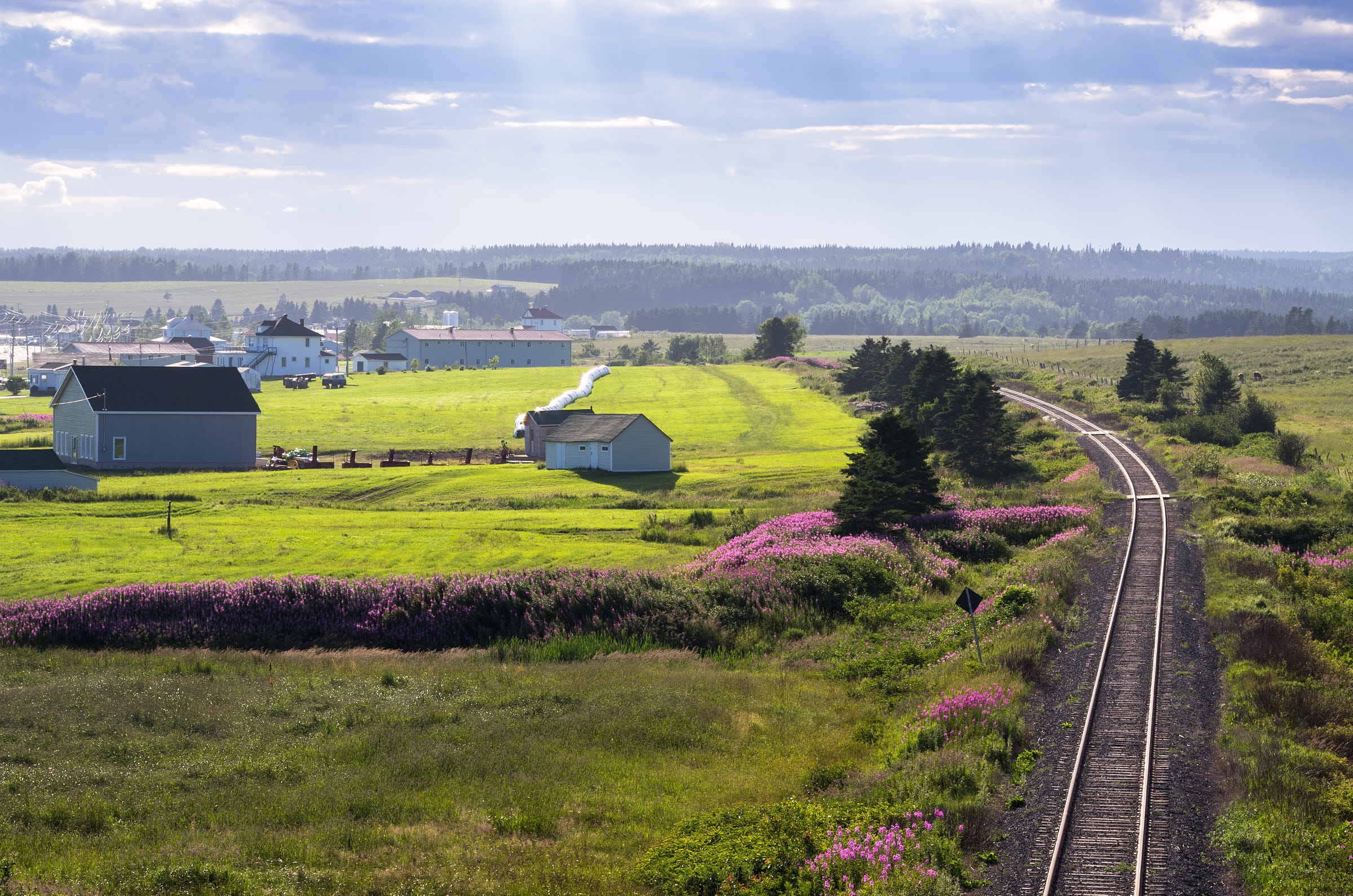 Train tracks running through rural farm land covered in lush grass and wildflowers.
