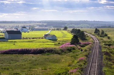Train tracks running through rural farm land covered in lush grass and wildflowers.