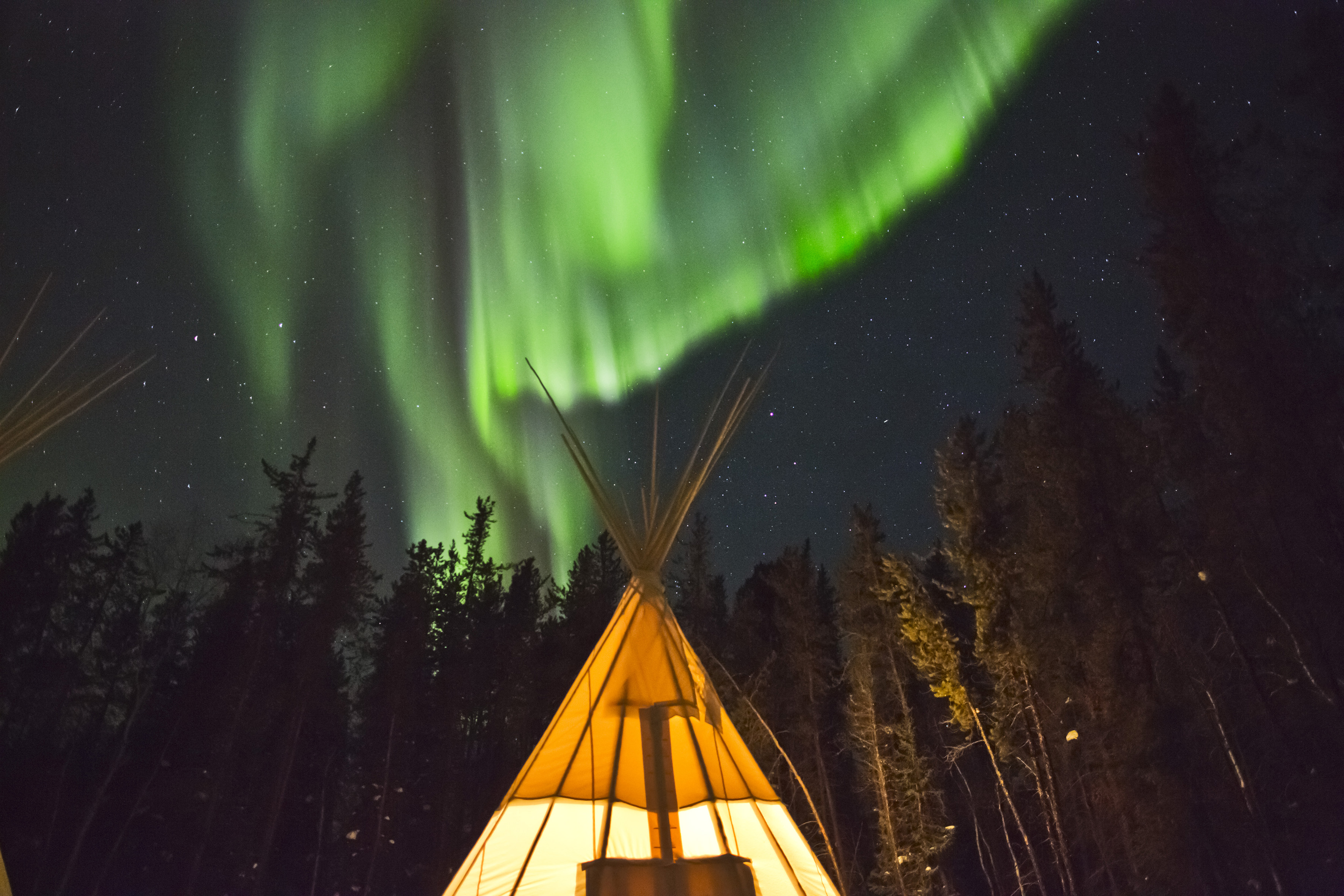 Green Northern Lights in the sky above a teepee at Aurora Village