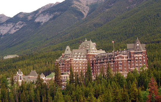 Liz and Adolf review of their null trip