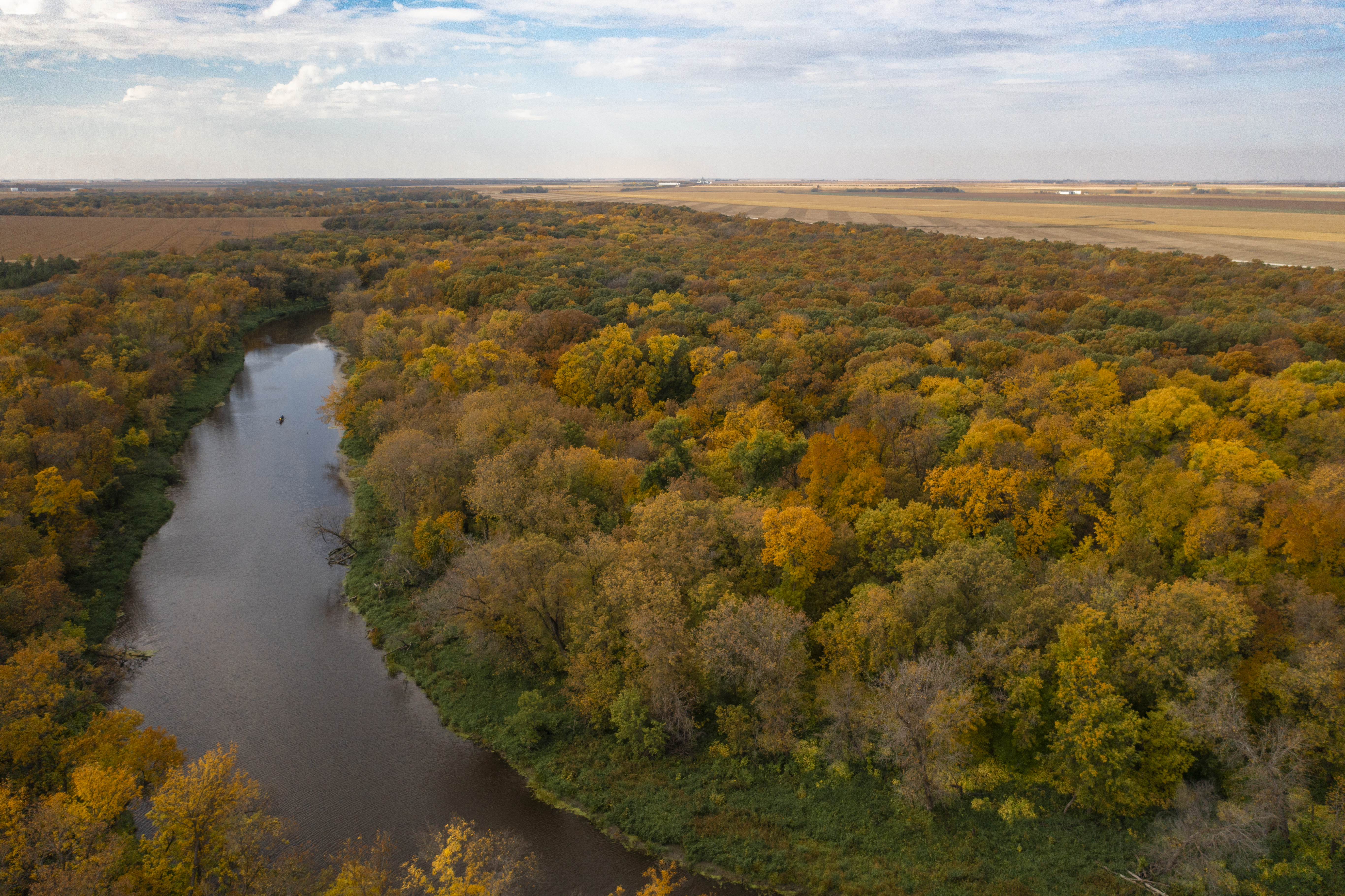 Aerial drone shot of fall colours and a river running through La Barriere Park