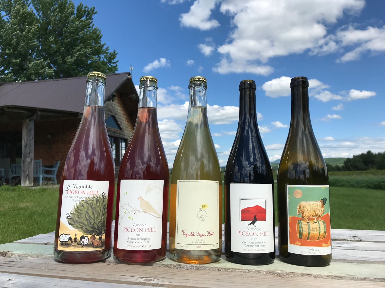 Vignoble Pigeon Hill Winery in Quebec