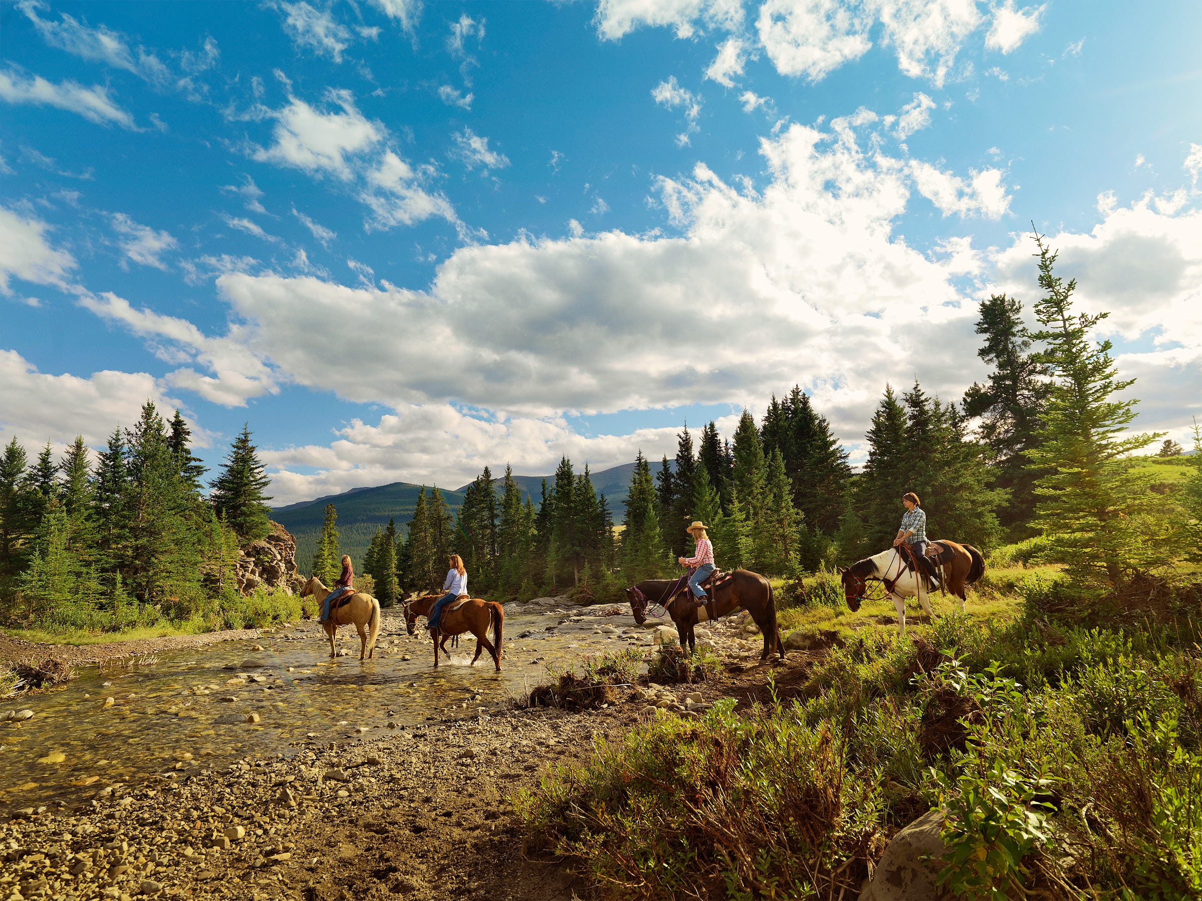 Four horseback riders crossing a stream in Sundre in Central Alberta