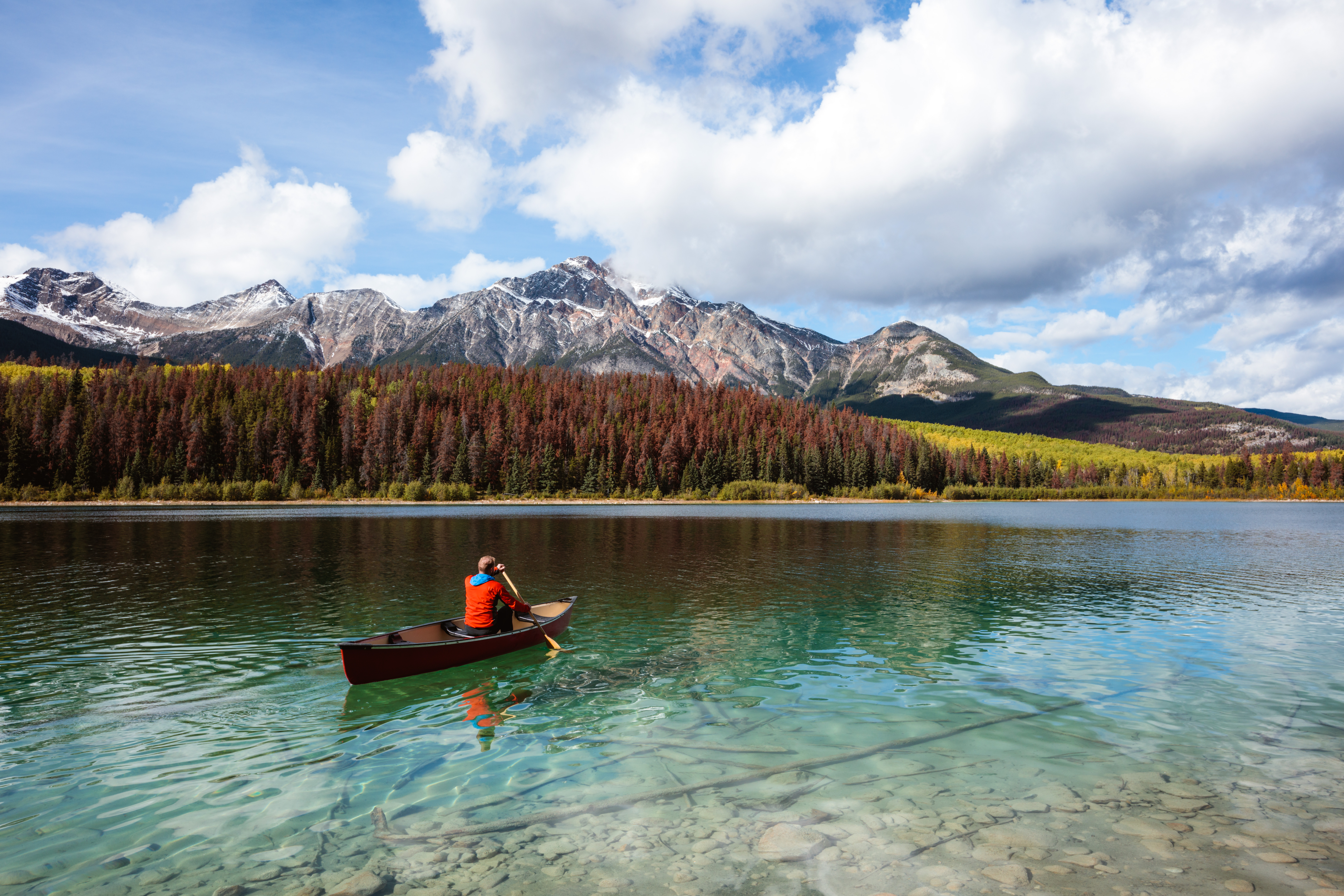 Man canoeing on Patricia lake in autumn, Jasper National Park, Alberta, Canada