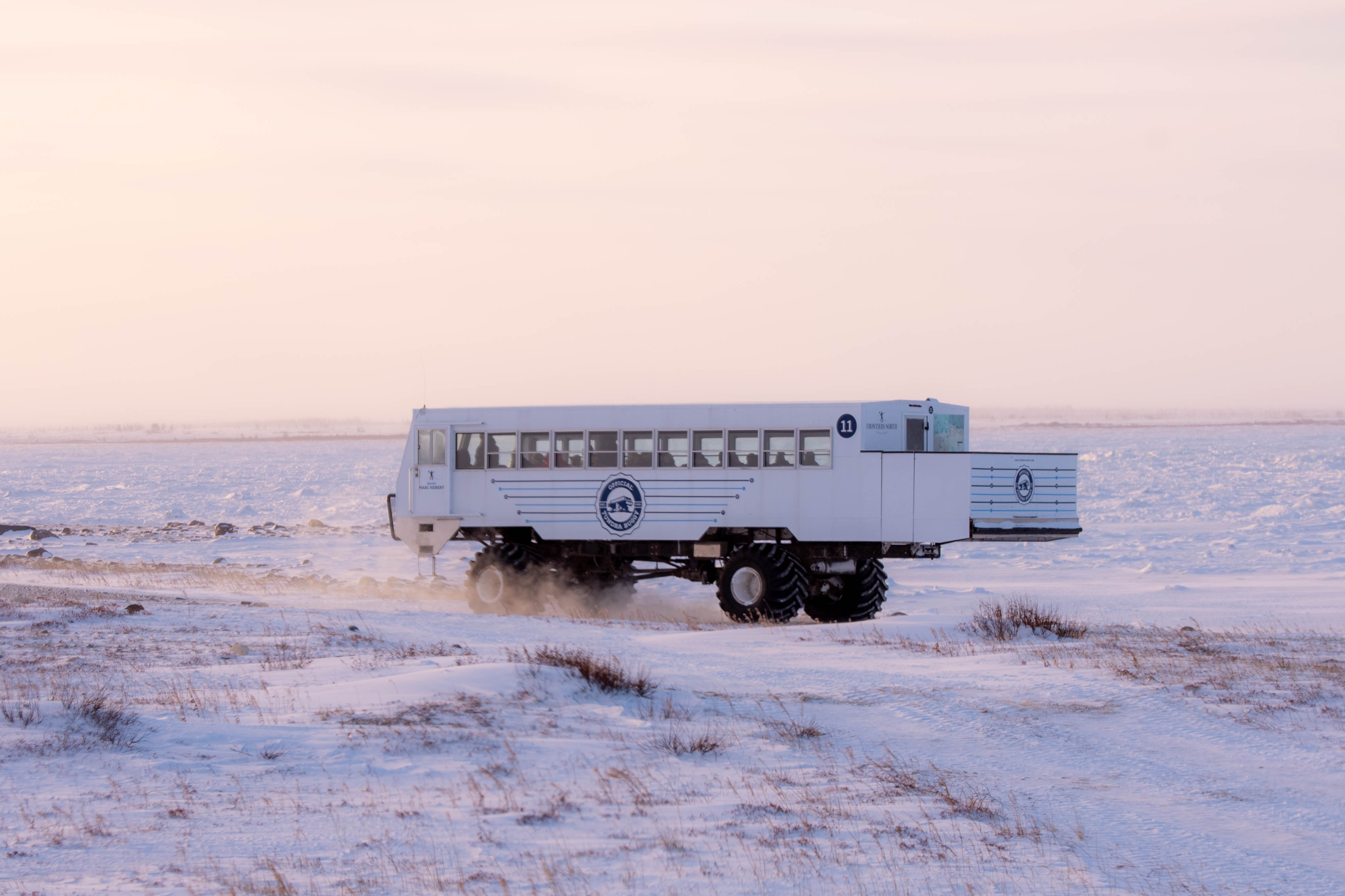 Tundra Buggy driving across the snow in Churchill with soft pink sky above