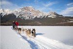 Two people dogsledding through the snow in Jasper with mountains behind them