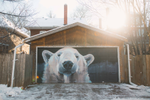A polar bear art mural on a garage door 