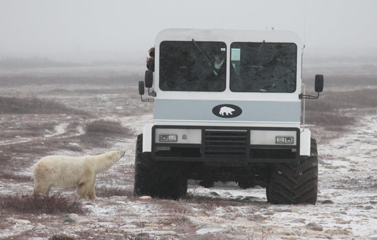 Greg and Coralyn review of their [object Object] trip