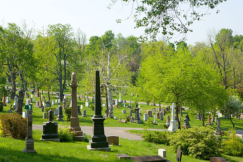 View of grave stones and greenery in a cemetery on a hill