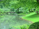 Pathway at Nitobe Memorial Garden