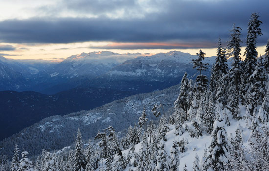 Neil, Pam, Susanne, Dave and Alex review of their null trip