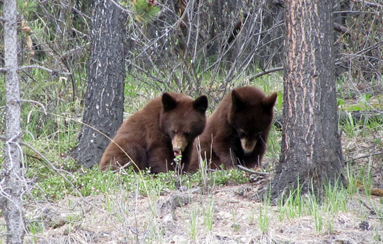 Terry and Zita review of their [object Object] trip